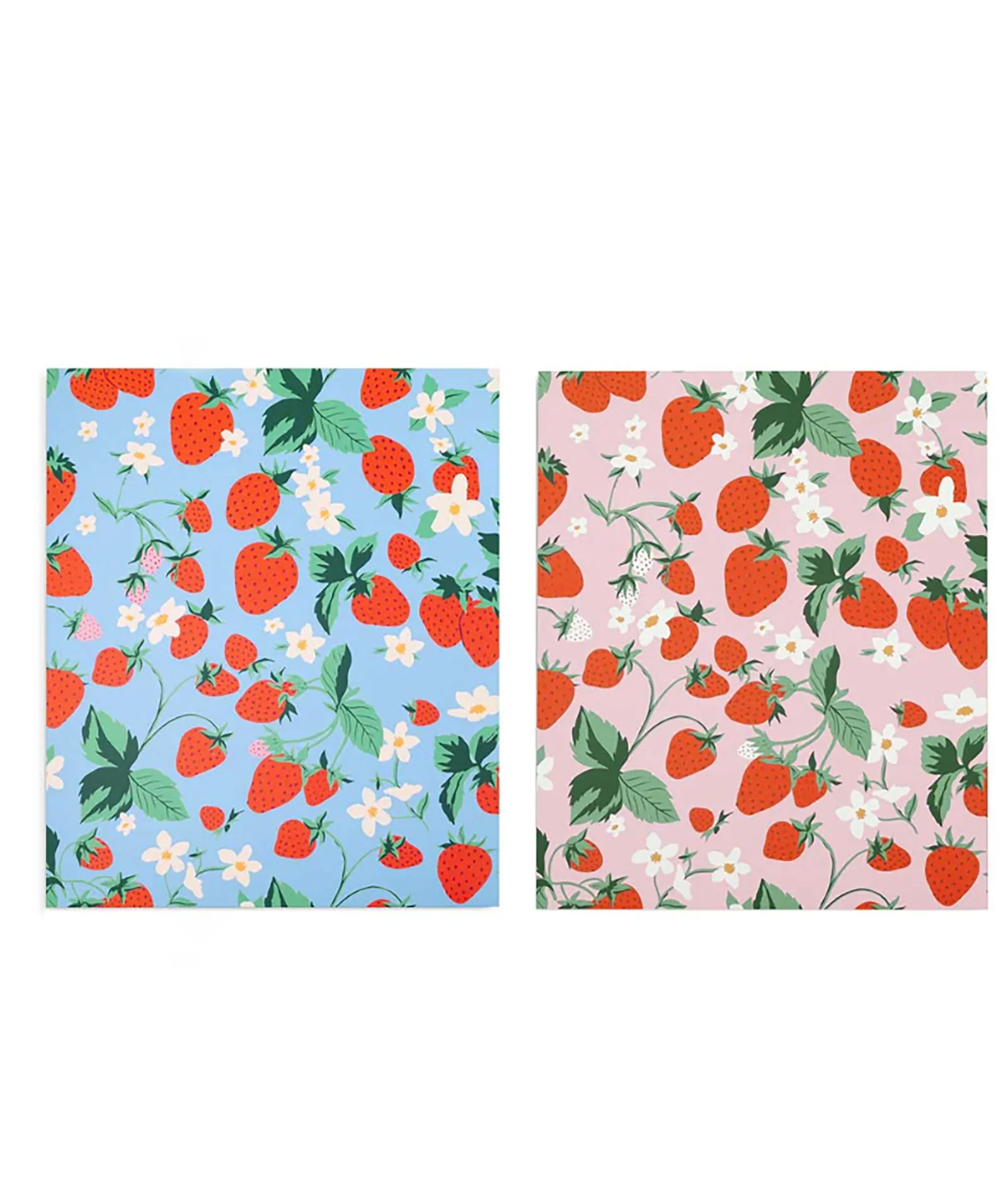 Ban.do Pocket Folder Set Flowers and Fruit