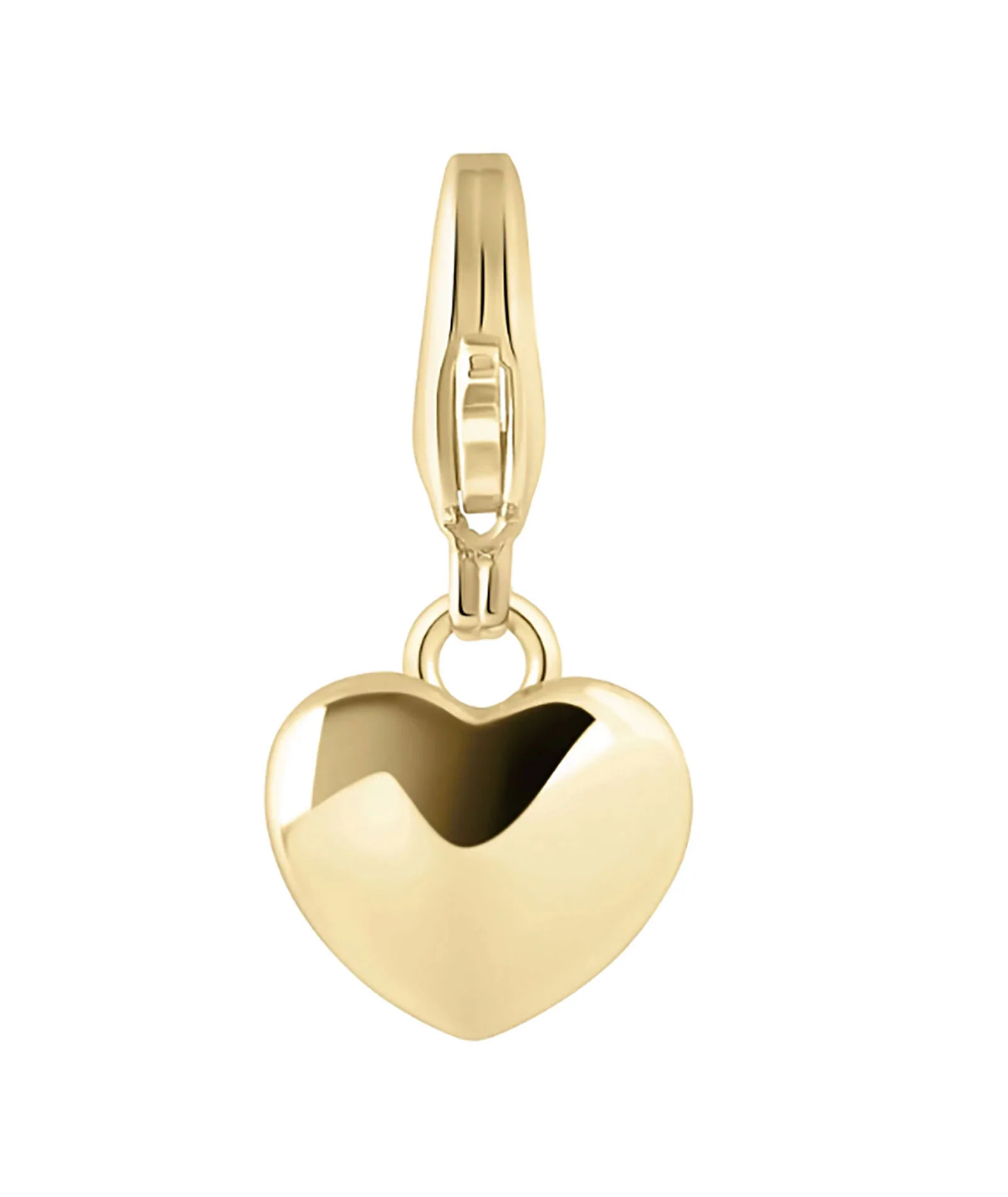 Electric Picks Charm Heart